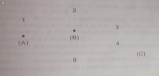 ʲô������